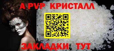СК Новодвинск