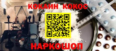 СК Новодвинск