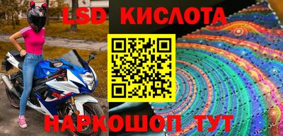 СК Новодвинск