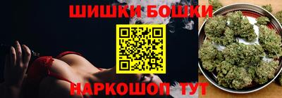 СК Новодвинск