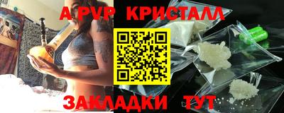 стаф Новозыбков