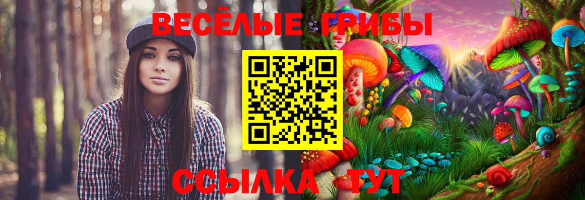 Галлюциногенные грибы GOLDEN TEACHER Учалы