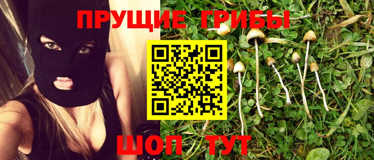 Псилоцибиновые грибы MAGIC MUSHROOMS  Вход с VPN  Учалы 